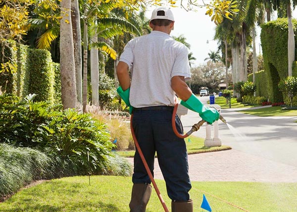 About Castaic CA Pest Control Pros